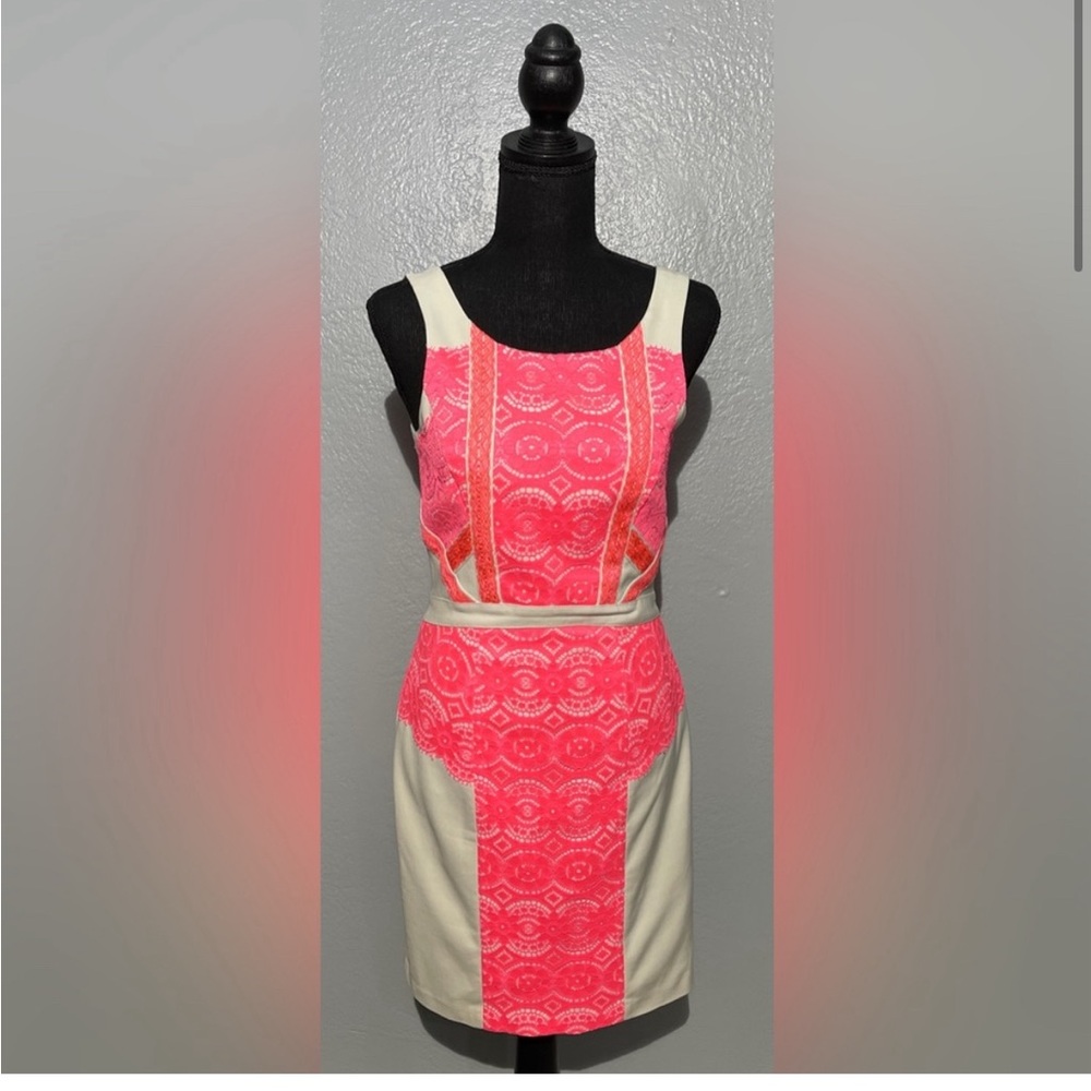 Fancy hot pink and white dress
